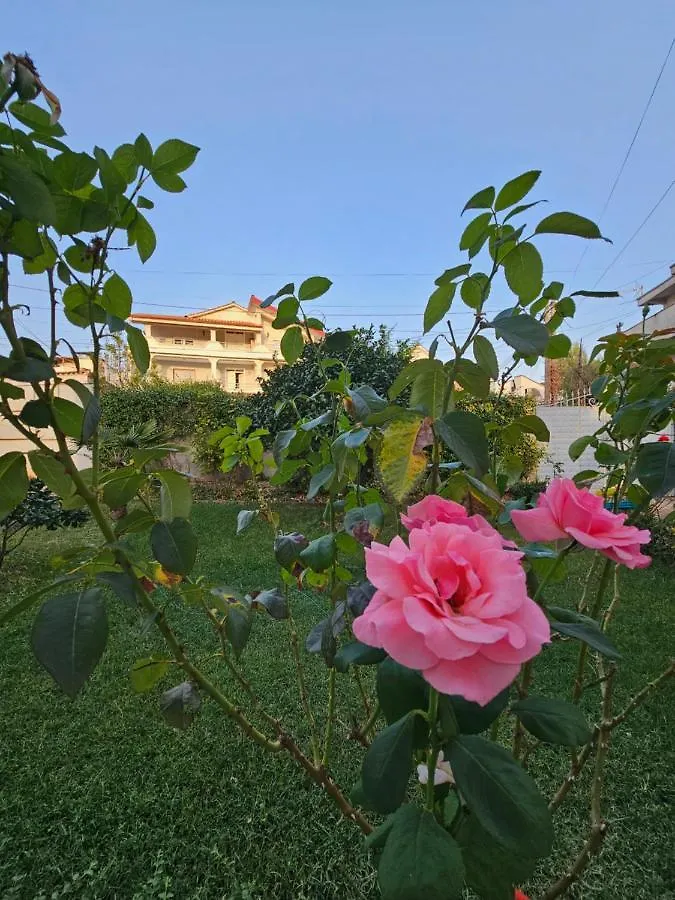 New Green House Villa Tirana